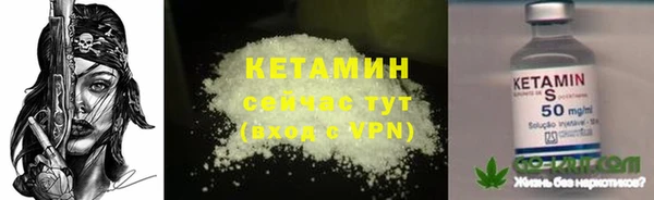 apvp Алексин